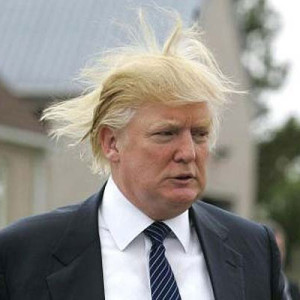 Donald_Trump_hair