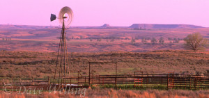 980000010 a panoramic view of an active windmill and cattle fencing and water tank on the open grasslands of the panhandle near canadian texas
